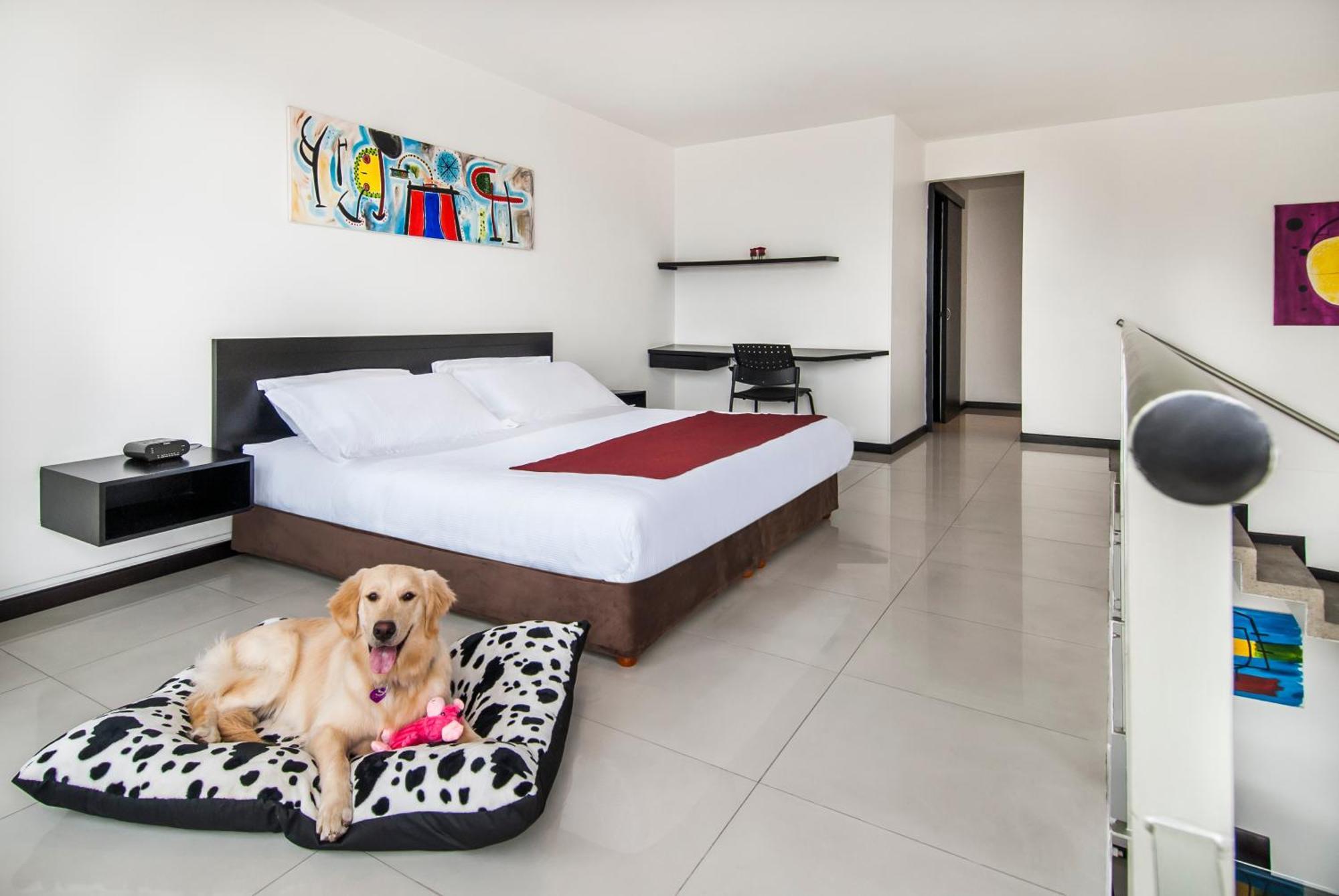 Duplex Apartment