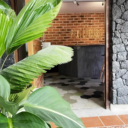 Pixel House Hotel (Adults Only)-2